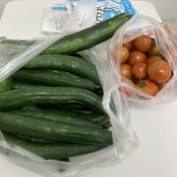 無農薬野菜を育ててます!笠井農園から夏野菜いただきました！
