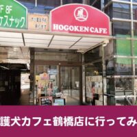 移動支援で保護権カフェに行ってきました！「癒しがいっぱい！！利用者さんと楽しんできました。大阪鶴橋にあるおススメのドッグカフェ