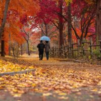 介護給付の居宅サービスとは？大阪介護の資格の専門学校講師が説明